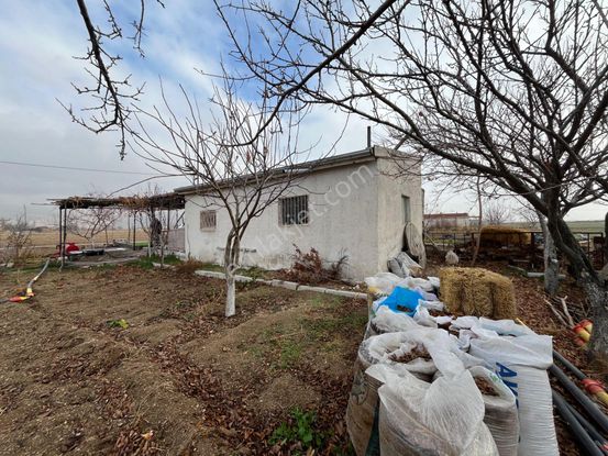 Öz Gaye Emlaktan Develi Sindelhöyük Kadanbaş Mevkindev Satılık Hobi Bahçesi