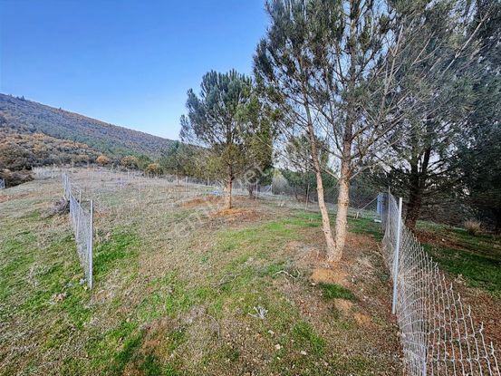 Yenişehir Marmaracıkta Satılık Tarla