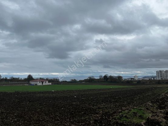 Akgün Kurumsaldan Atakum Alanlı'da 704 M2 Fırsat Satılık Arsa