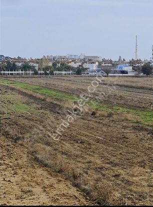 Kızılot Mahallesinde 1. Dönüm Hisseli Satılık Tarla