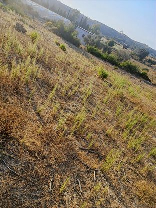 Karaöz Mahallesinde Satılık Tek Tapu Tarla