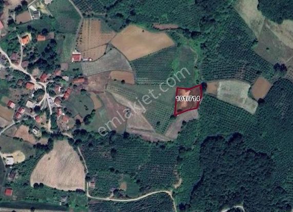 Kaynarca Uğurlu Köyü Satılık Kuyusu Ve Yolu Açılmış Tarla Acill!