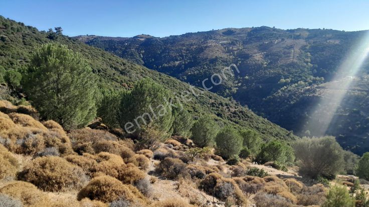 Güzelbahçe Yaka Mahallesi 6523 M2 Deniz Ve Doğa Manzaralı Tarla