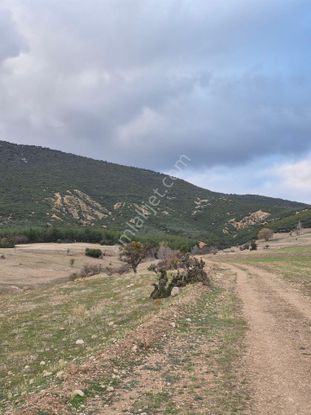 11660 M2 3tapu Isparta Gönen De