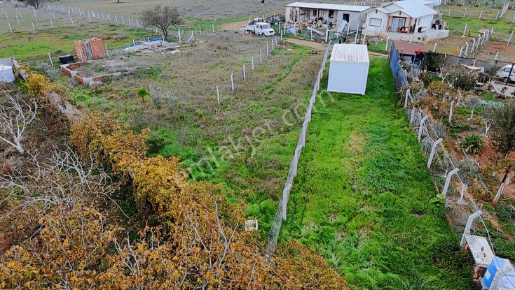 Menderes Develi'de 277 M2 Tapudan Satış Hobi Bahçesi