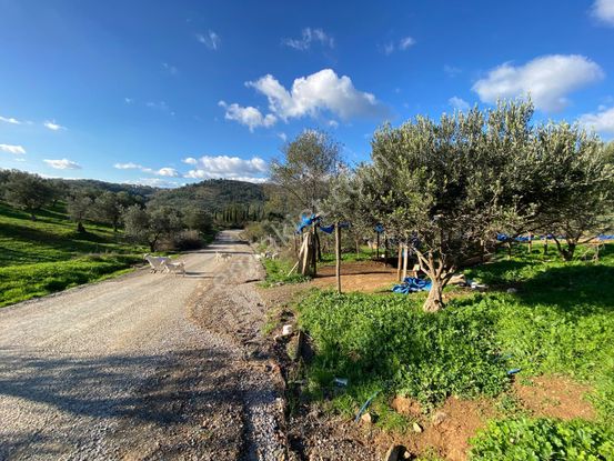 Balıkesir Havran Kalabakta 707 M² Satılık İmarlı Arsa