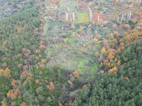 Bayındır Sarıyurt’ta Doğayla İç İçe Satılık Arazi