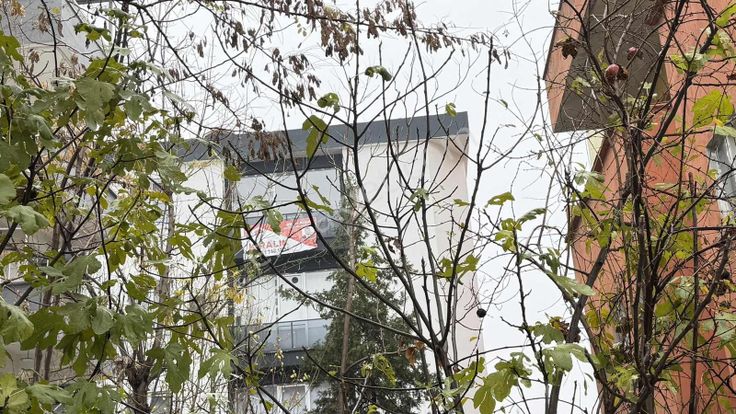 Kültürde Kiralık 1 + 1 Daire Sıfır Daire