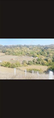 Silivri Büyüksineklide 320 Metre Kare Hisseli Tarla