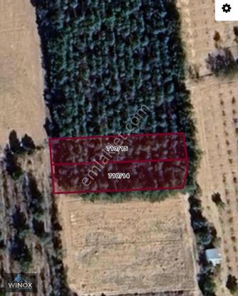 Winox Tan Baklan Balcam Da Satılık Çamlık Tarla