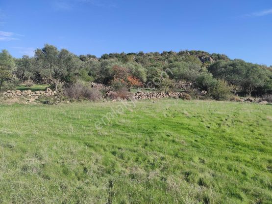 Uzun Emlak'tan Yunusemre Karakılınçlı'da 17 Dönüm Tarla