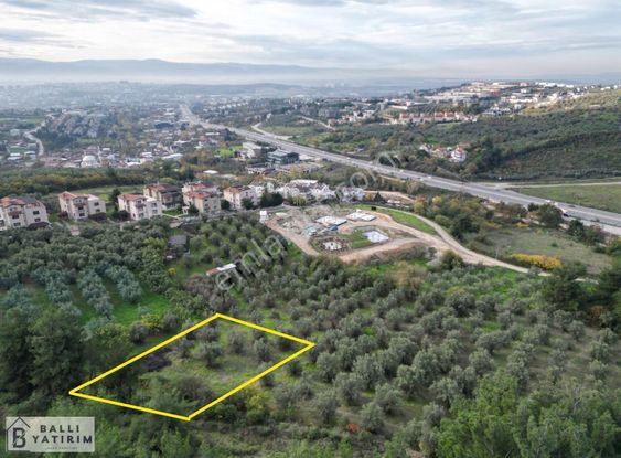 Ballı Yatırım'dan Çağrışan'da Tek Tapu 750 M2 Arsa