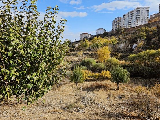 Hakev'den Ciritmeydan Mah. Arsa Satılıktır