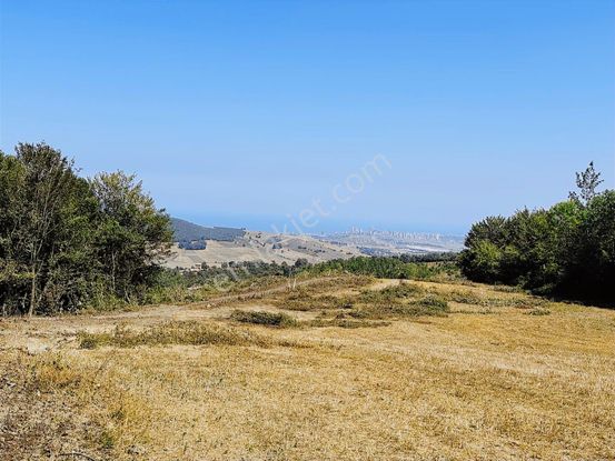Sarayköyde Deniz Doğa Manzaralı 2 Dönüm Fırsat Tarla