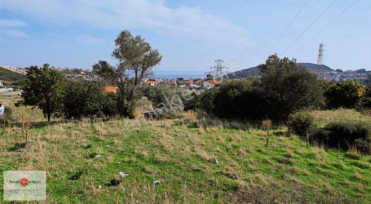 Saip'te İmar Uygulaması İçinde Satılık Tarla