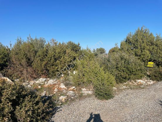 Aydın Didimde En Uygun Villa İmarlı Arsası