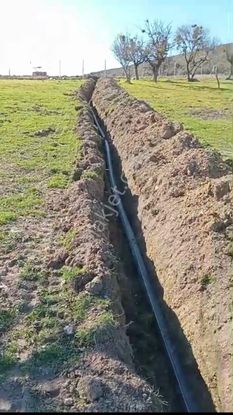 Denizli Tavas Ulukentte 37.000 M2 Ceviz Bahçesi Satılık