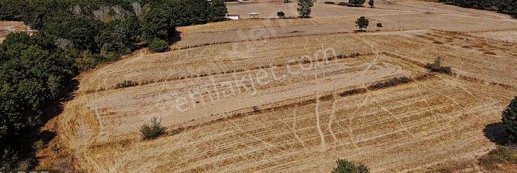 Kapaklı Karlıda Satılık Hisseli Tarla