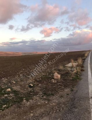 Satılık Kök Tek Tapu Tarla Ankara / Sincan / Ücret Mahallesi