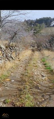 Dağdibi Köyünde Elektriği,suyu Ve Yolu Olan Satılık Tarla.....