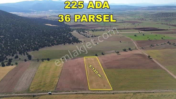 Konya / Akören / Alan'da 6.120 M² Müstakil Tapu Tarla Fırsatı