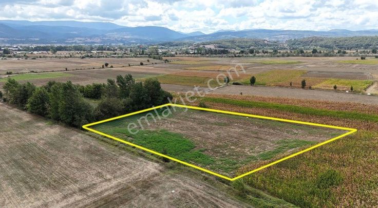 Bolu Kasaplar'da Otoban'a Yakın Yatırımlık Tarla