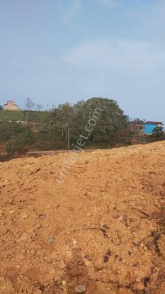 Rize Derepazarı Sandiktas Mahallesi Satılık 11 Dönüm Arazi