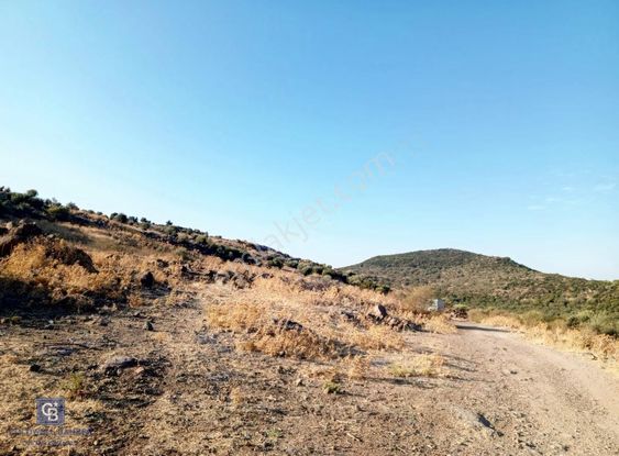 Dikili Bademli'de Deniz Manzaralı Satılık Arsa