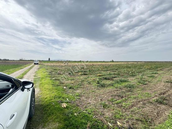 Pw Plus'tan Bursa Karacabey Gönü'de 6126 M² Müstakil Tarla