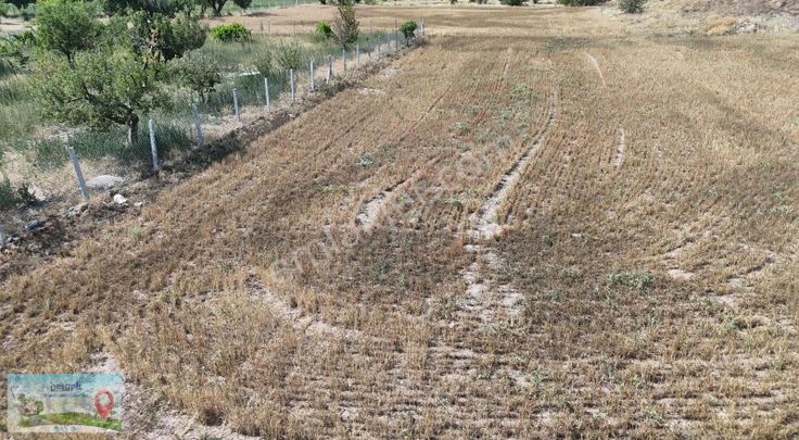 Konya / Akören / Tülce Mahallesinde 1.595 M² Müstakil Tapulu Bağ