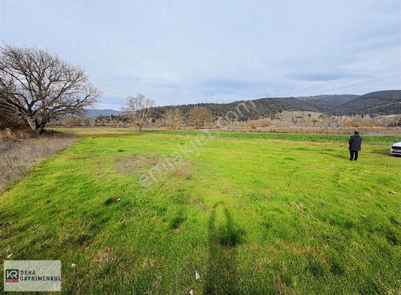 Orhaneli Deliballılar Da Toplam 5.529 M2 Arazi