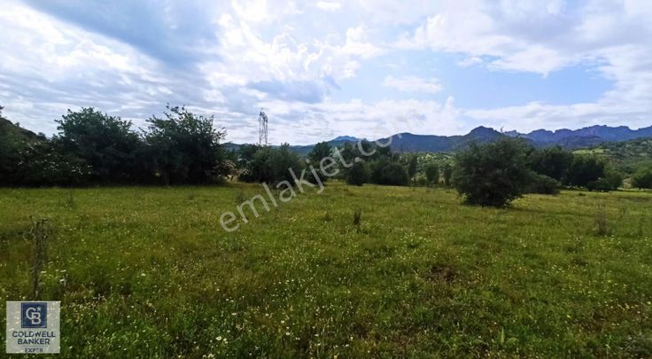 Tunceli İsmet İnönü'de Yatırımlık Fırsat Arsalar