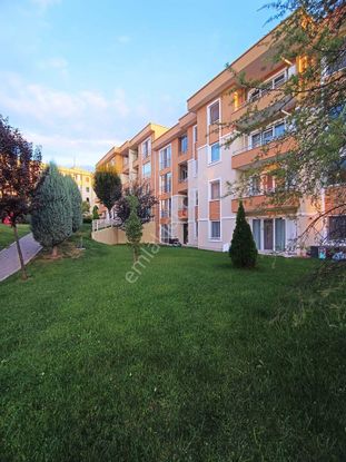 Remax Palas Pekdemir Başiskele Evimiz Kocaeli 3+1 Arakat Kiralık