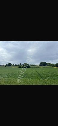 Akramdan İkizcede Satılık Arazi