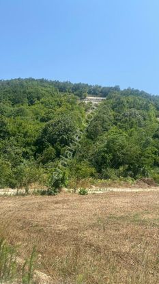 Sahibinden Hisseli Muvafakatnameli 250 M2 Arasa