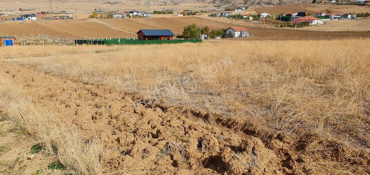 Sahibinden Ömerli 48. Sokak 657 M2