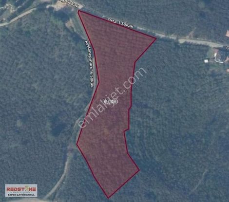 Merkezi Konumda Yola Cephe Parsellenebilir İmarlı Fındıklık