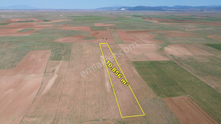 Konya / Akören / Orhaniye Mahallesinde 10.856 M² Müstakil Tapulu Tarla
