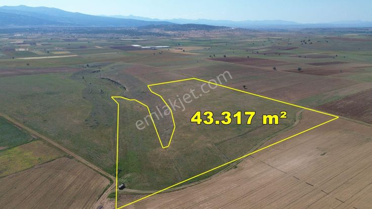 Konya / Akören / Orhaniye Mahallesinde 43.317 M² Müstakil Tapulu Tarla