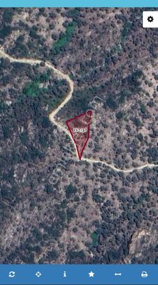 Muğla Milas Çomakdağ'da 776 M2 Zeytinlik