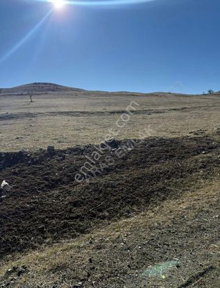 Yayla Karaçulha Da Satılık 1700 M2 Tarla