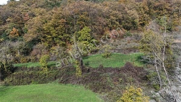 Doğa İçerisinde Bır Taraf Dere Bir Taraf Orman Satılık Bahçe