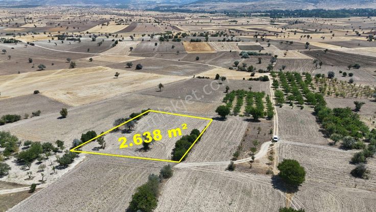 2.638 M² / Konya / Beyşehir / Yenidoğan / Tarla