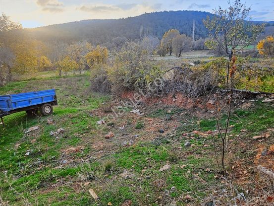 Uşak Banaz Kuşdemirlerde Satılık Arsa