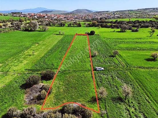 Kula'da Satılık 3000 M2 Düz Tarla, Hobi Bahçesi.