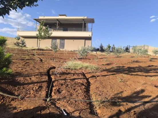 World İlkevim'den Yazlık - Kışlık Satılık Bağ Evi