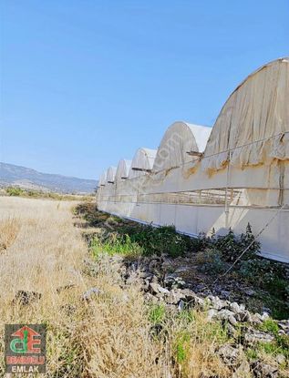 Kupon Değerinde Tarla "içerisinde Sera Sistemi Dahil"