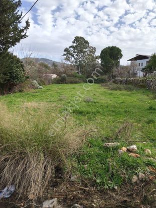 Sahibinden Köy İçi İmarlı Tapulu 988 M2