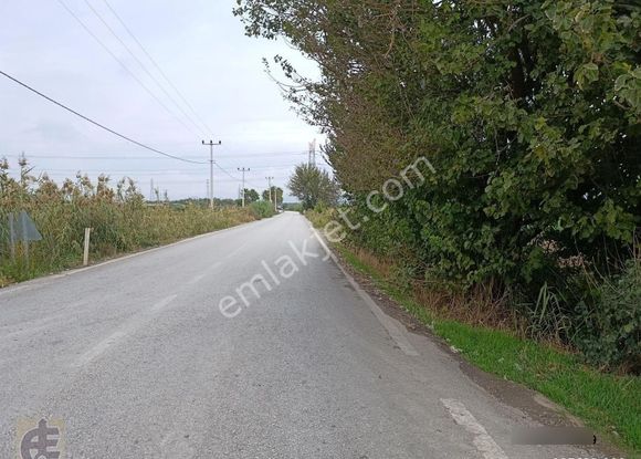Satılık Yola Sıfır Tarla