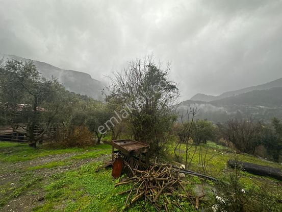 Muğla Dalaman Gürleyik'te Satılık Tarla